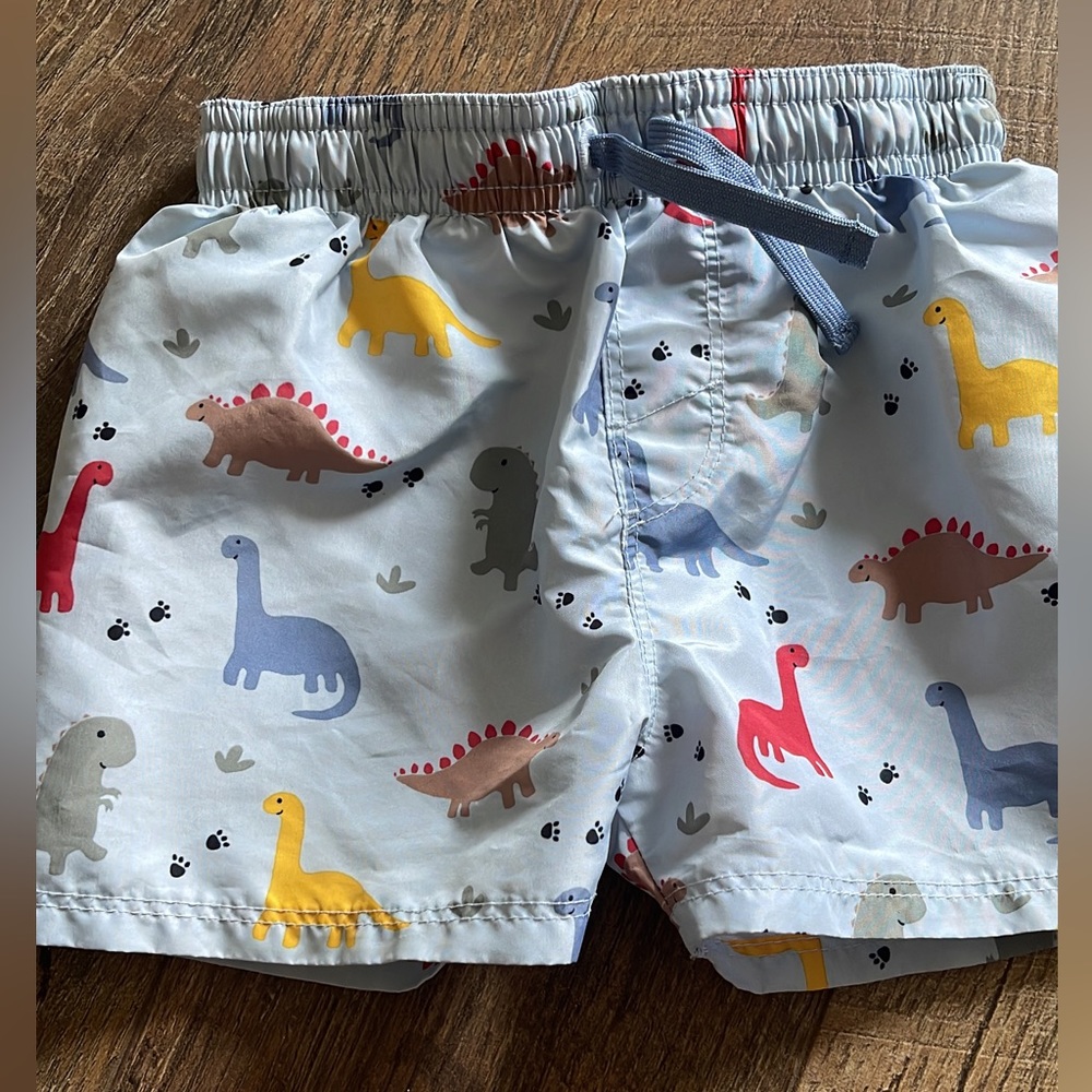 H&M Toddler Boy Swimsuit